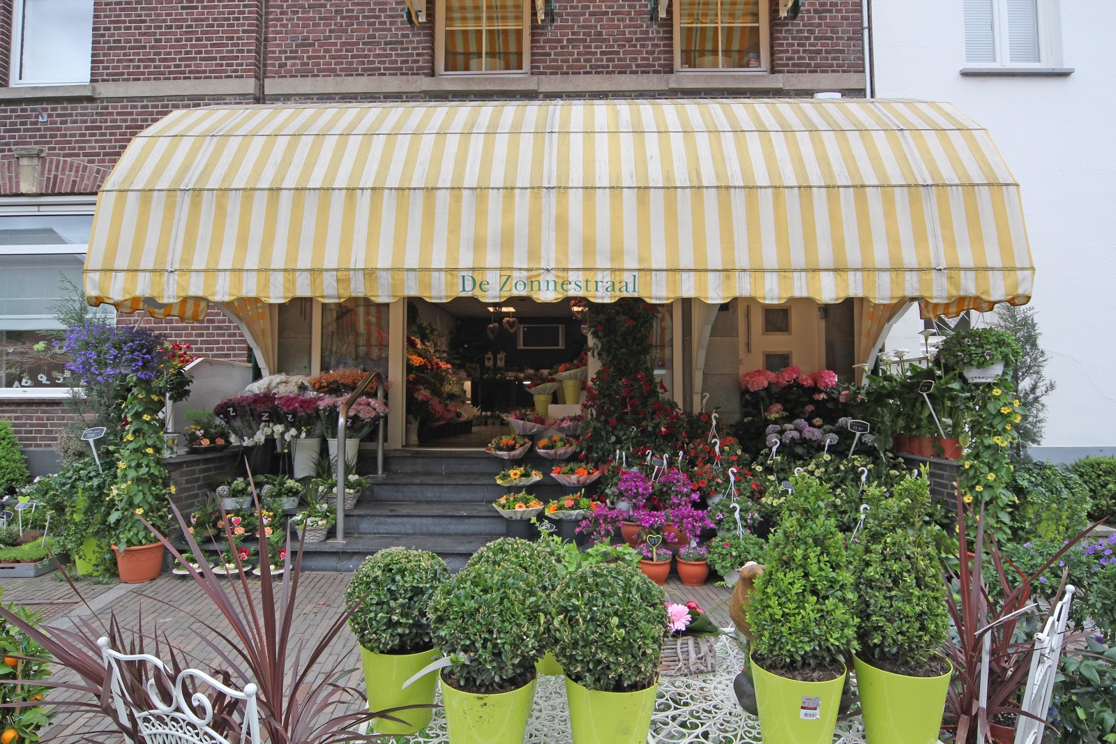 Bloemenhuis De Zonnestraal