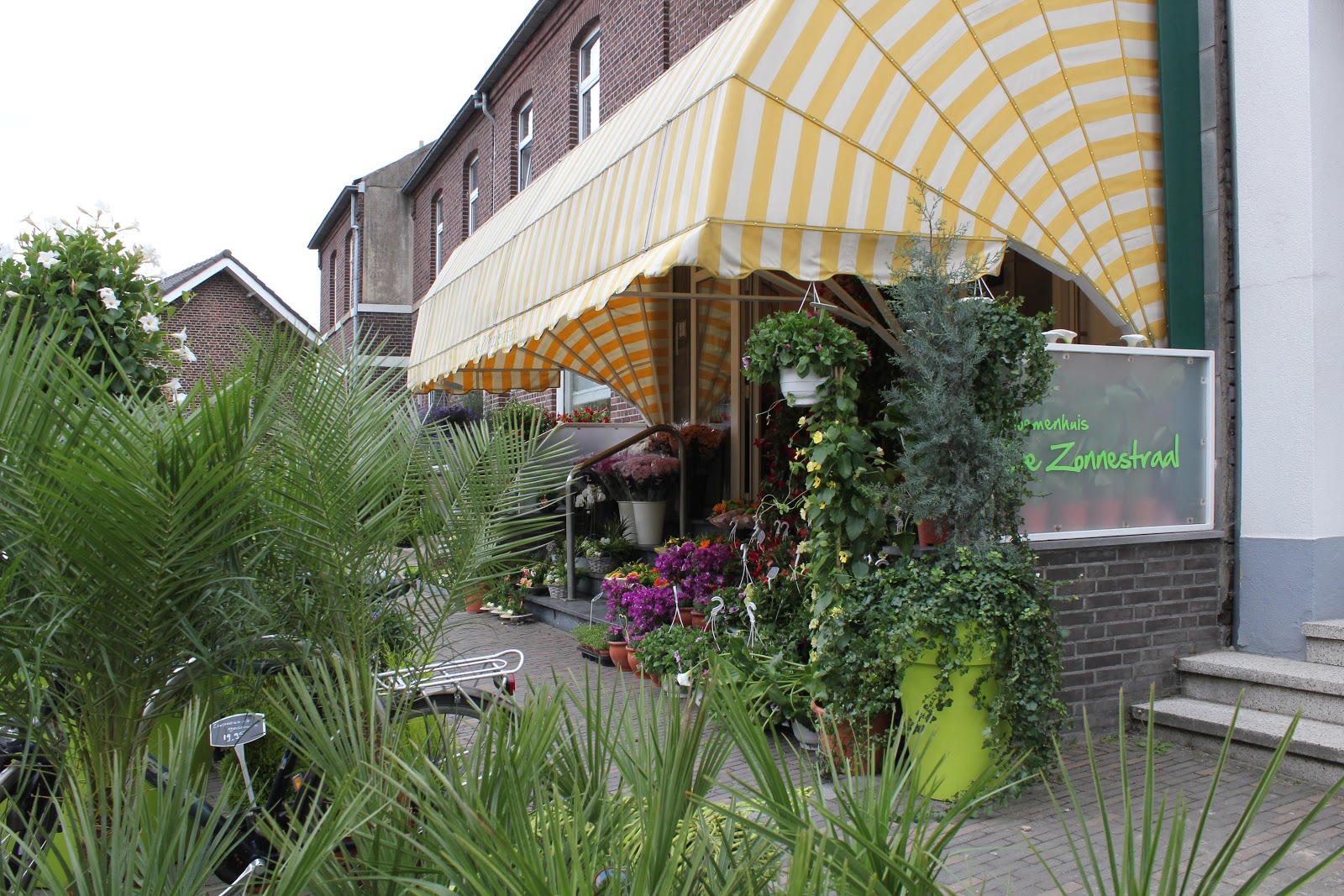 Bloemenhuis De Zonnestraal