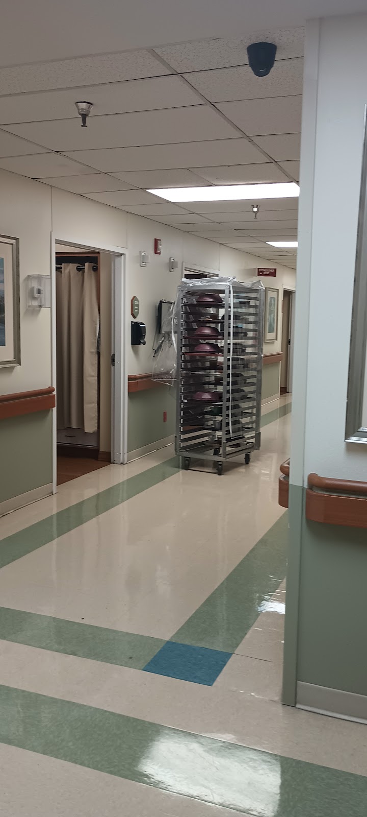 Golden Palms Rehabilitation & Retirement