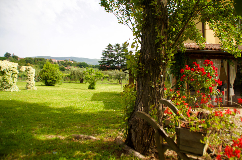 Villa Sofia: casa di riposo a Velletri, Castelli Romani, residenza per anziani
