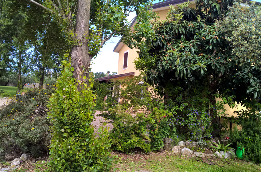Villa Sofia: casa di riposo a Velletri, Castelli Romani, residenza per anziani