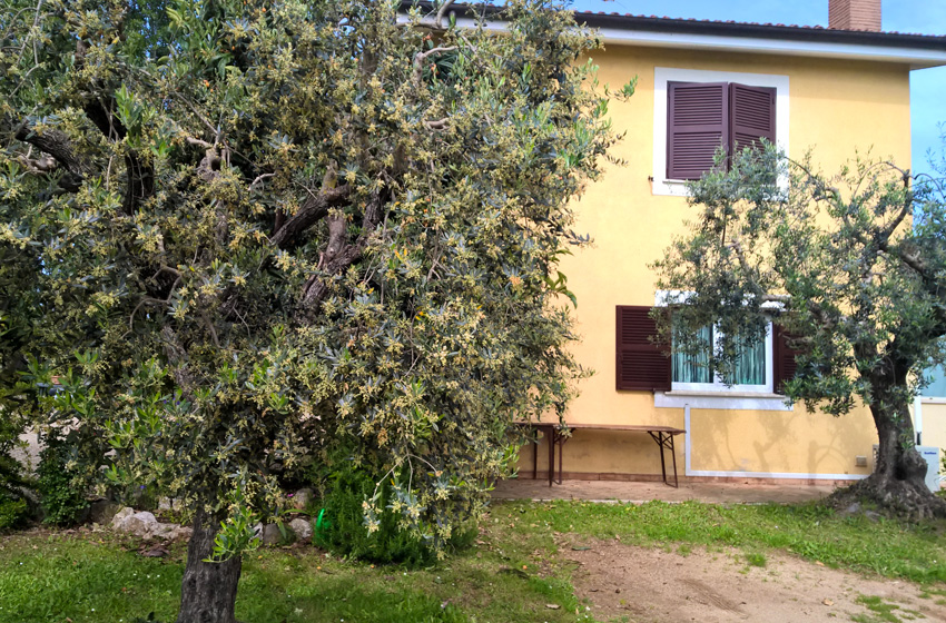 Villa Sofia: casa di riposo a Velletri, Castelli Romani, residenza per anziani