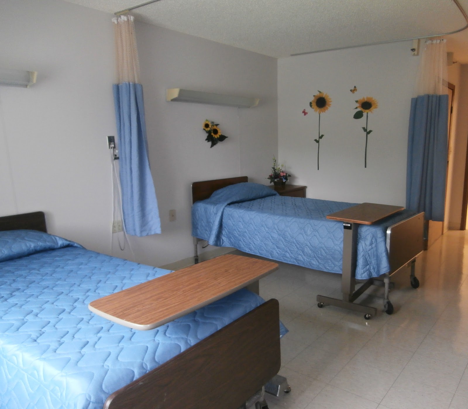 Ozark Rehabilitation & Health Care Center