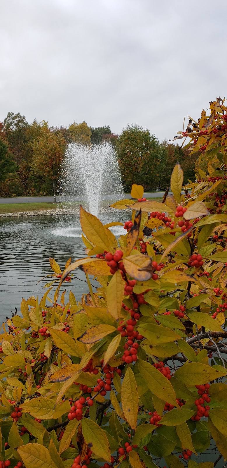 Four Seasons at Historic Virginia