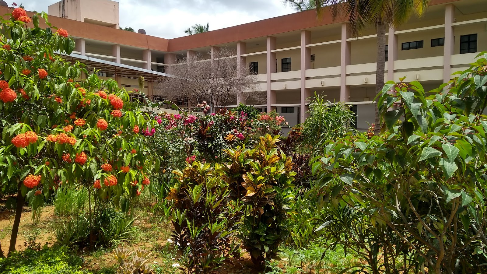 KATHERINE NIVAS SENIOR CITIZEN HOME