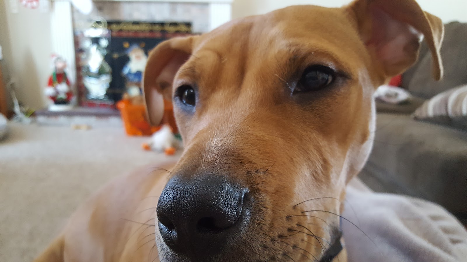 Hickory Ridge of Temperance