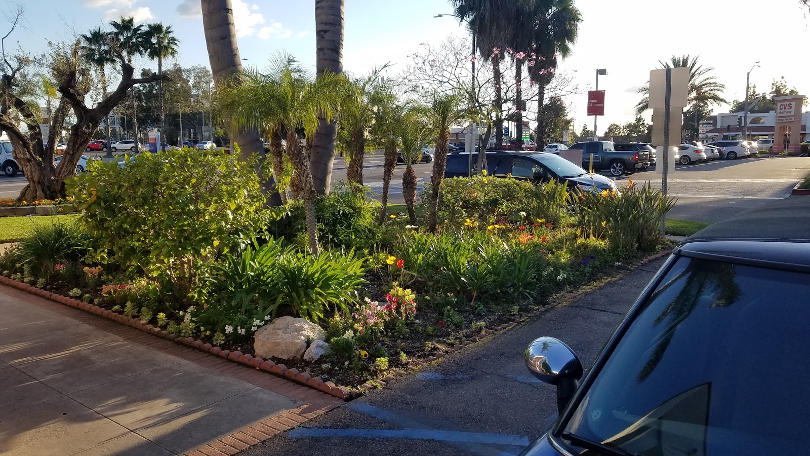 Terrace View Care Center