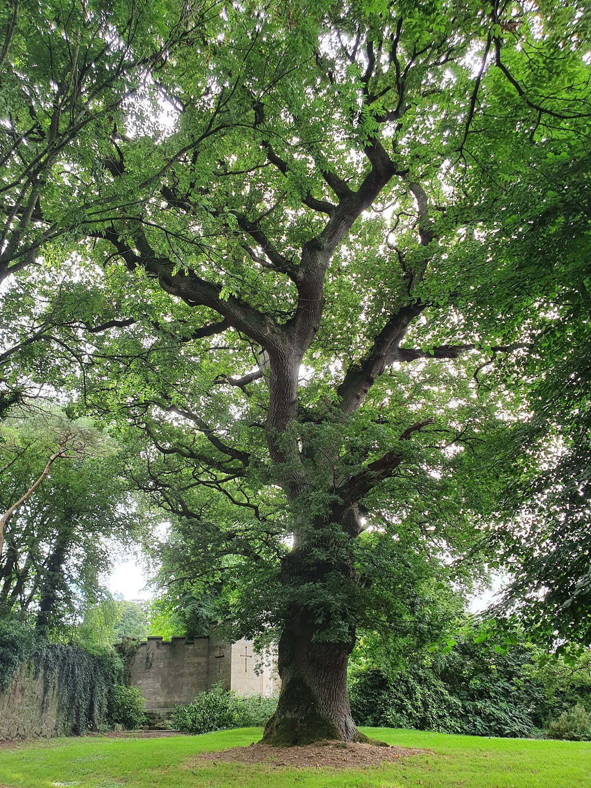 Borris House
