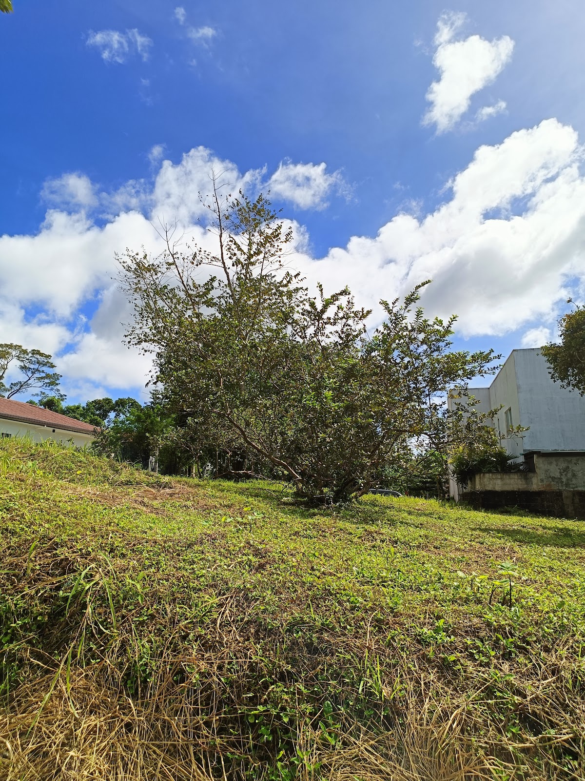 Tagaytay Country Homes 2