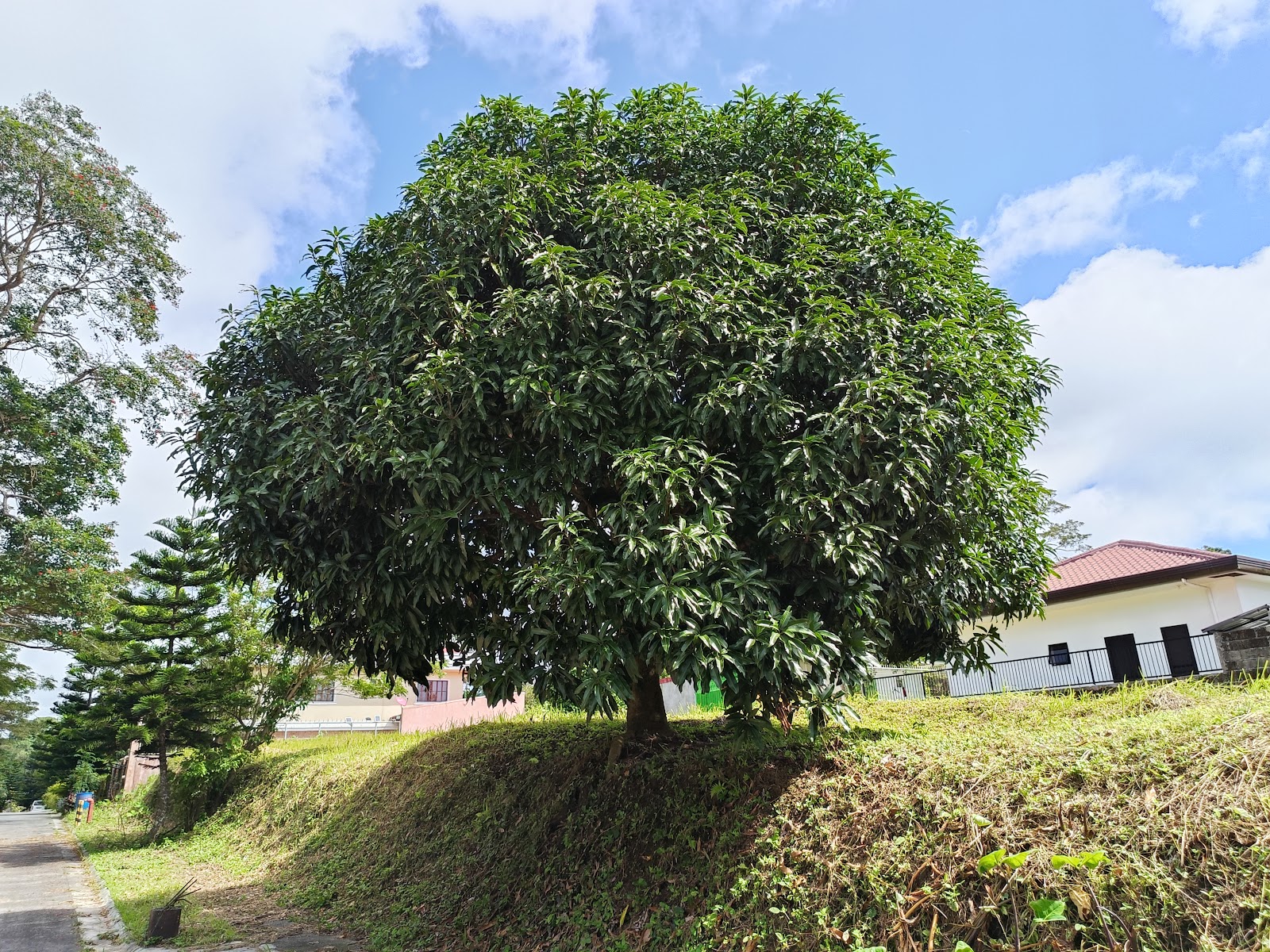 Tagaytay Country Homes 2