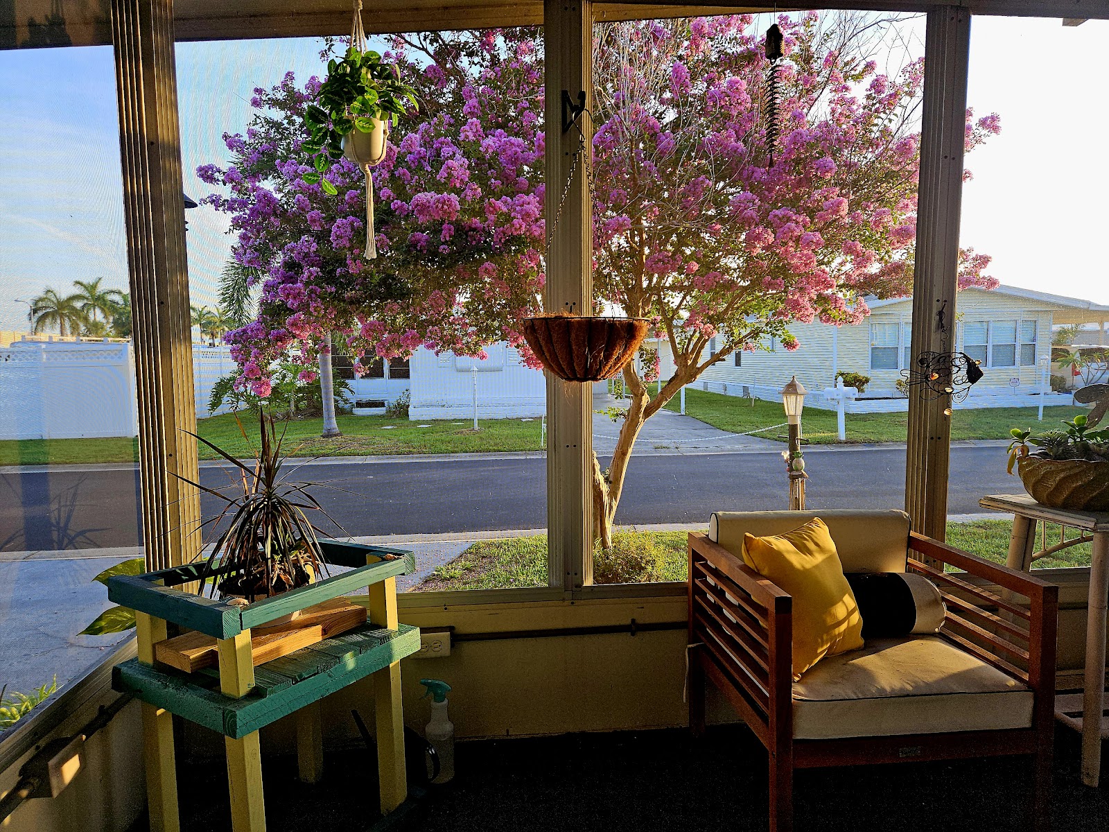 Lamplighter Village 55+ Community