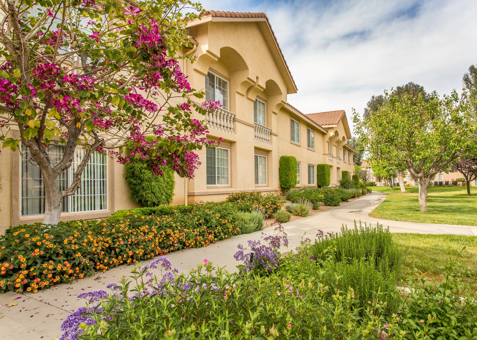 Wildomar Senior Assisted Living