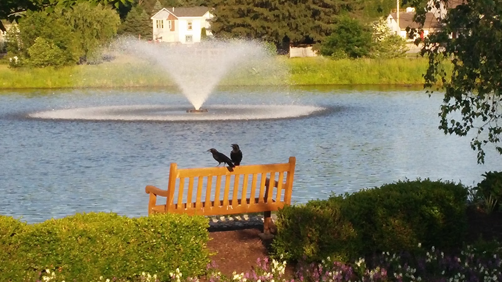 Traditions At Longwood Inc