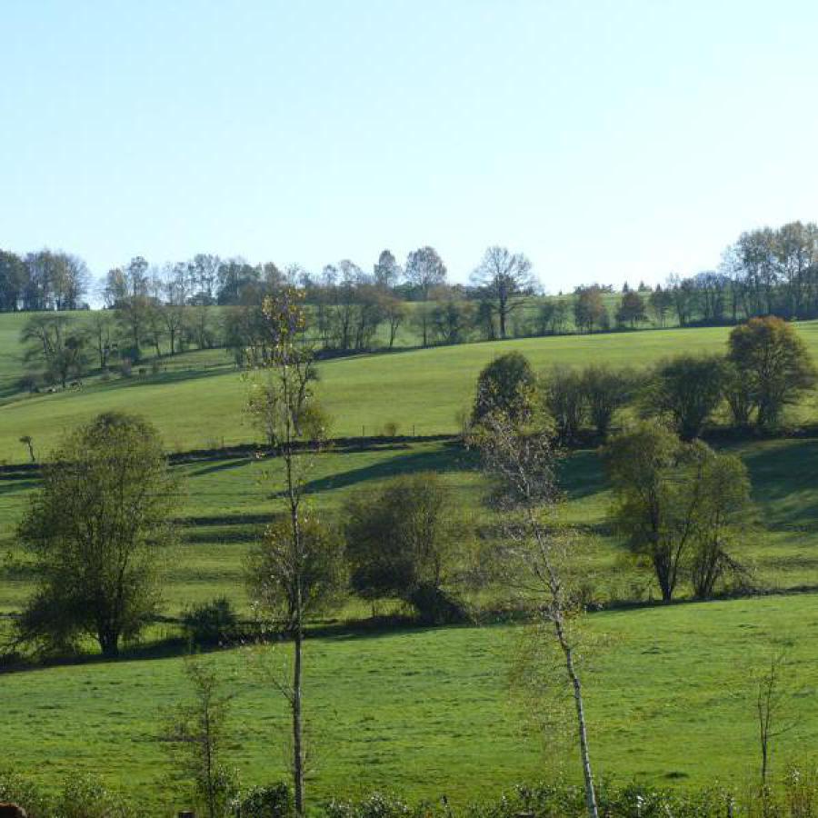 Alten- und Pflegeheim Rosenhöhe