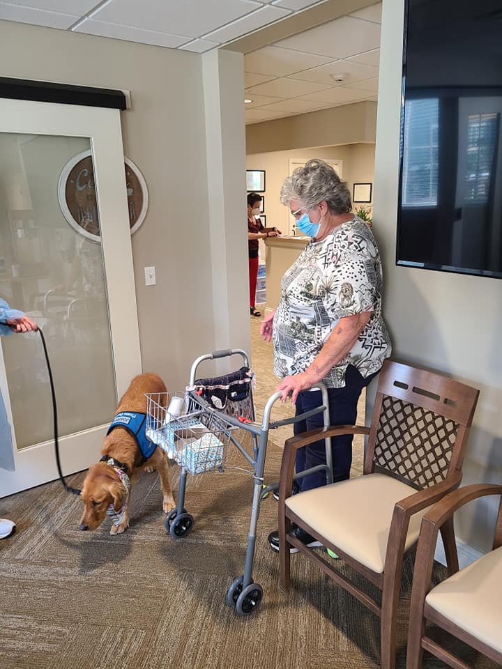 Fallbrook Assisted Living and Memory Care