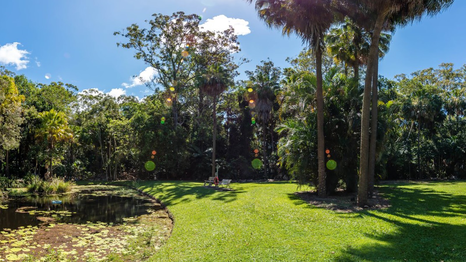 Buderim Gardens