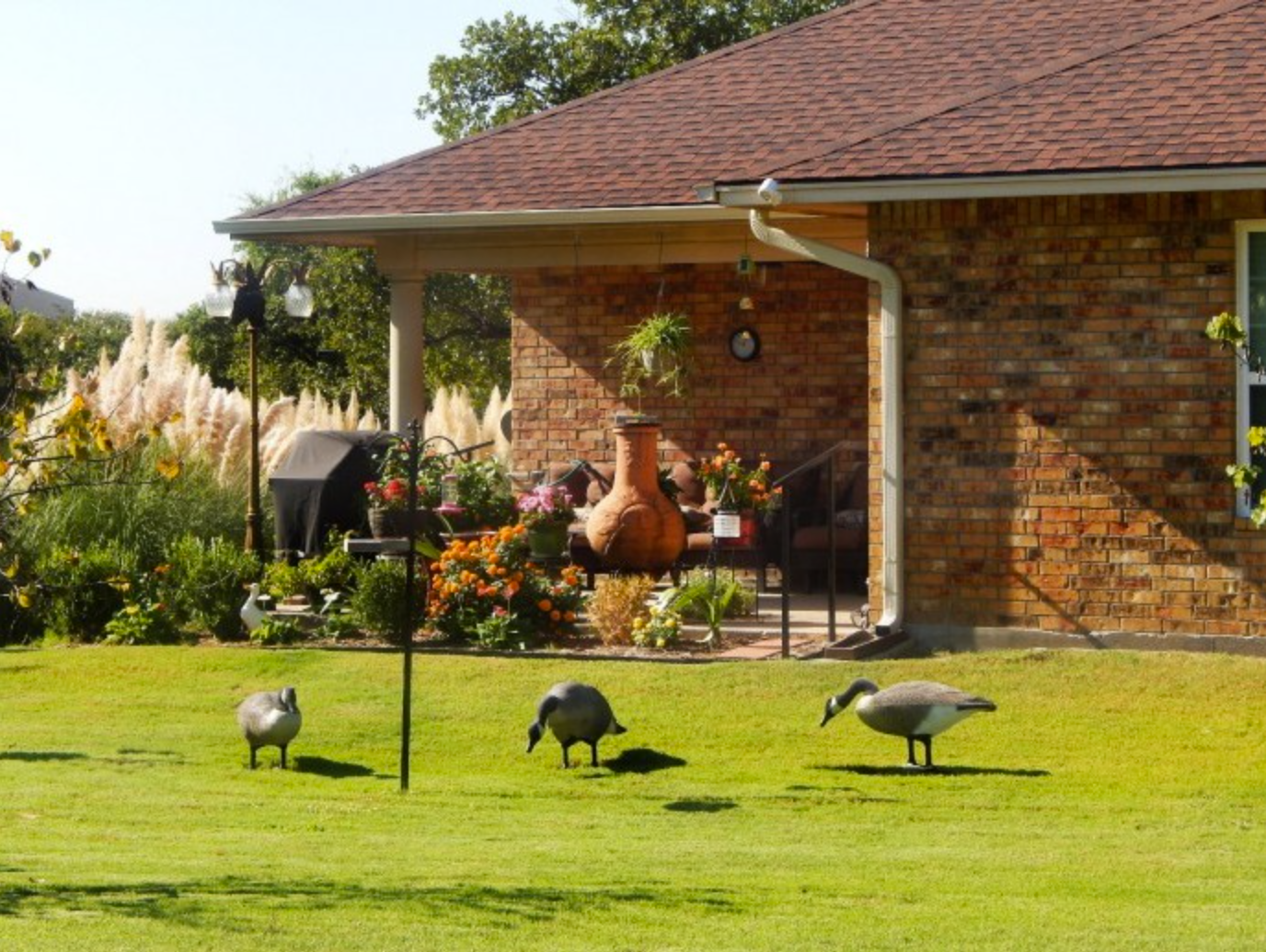 Lake Forest Village