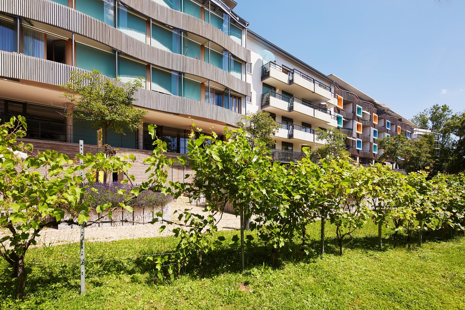 Verein für Pflege und Betreuung Paul Gerhardt e.V. Pforzheim - Seniorenzentrum Paul Gerhardt