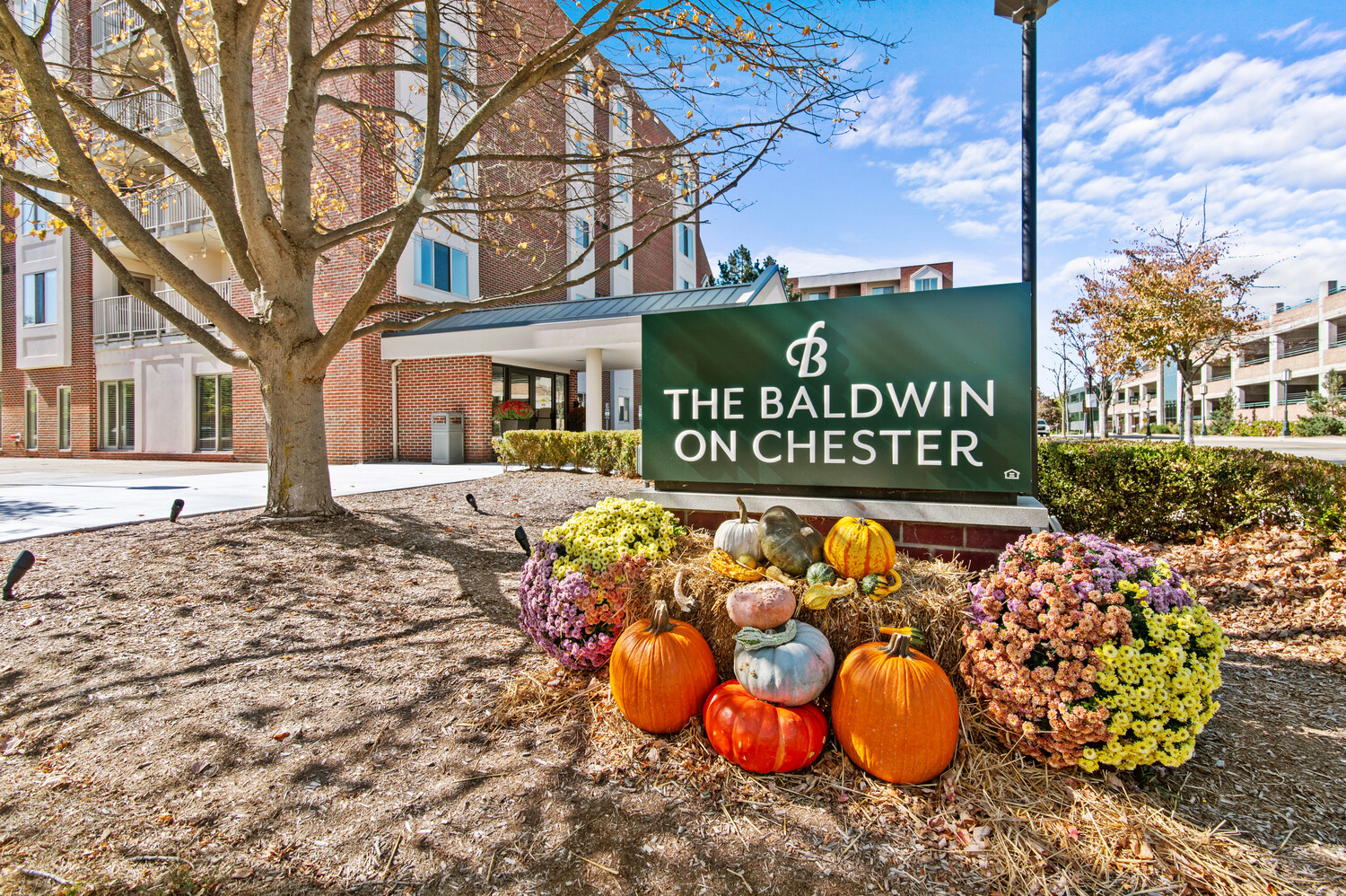 The Baldwin On Chester