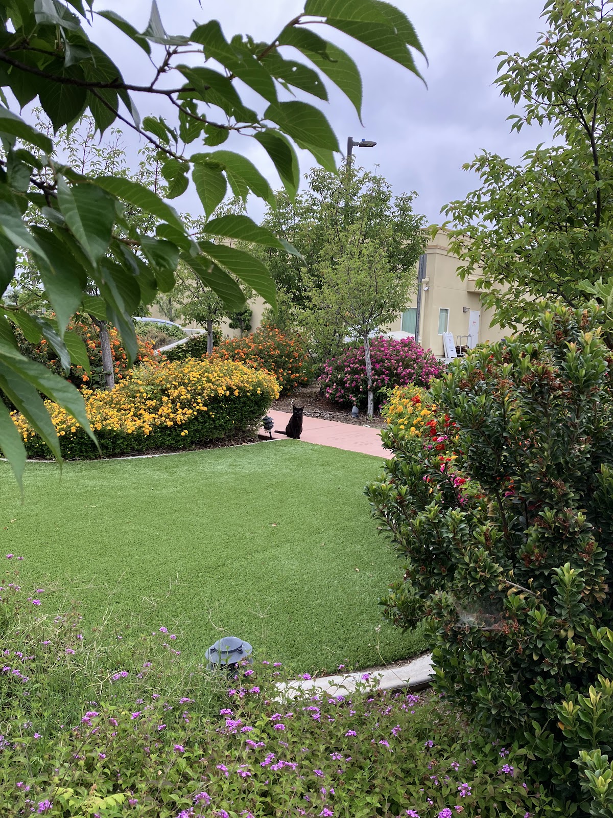 Nikkei Senior Gardens