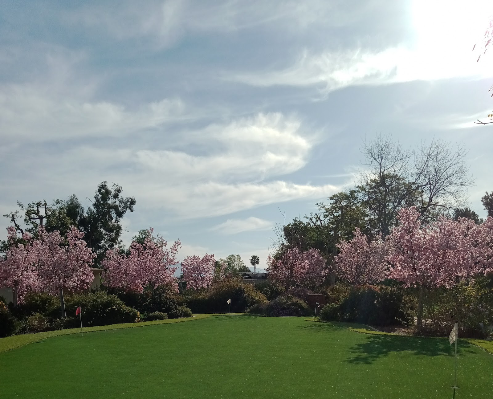 Nikkei Senior Gardens