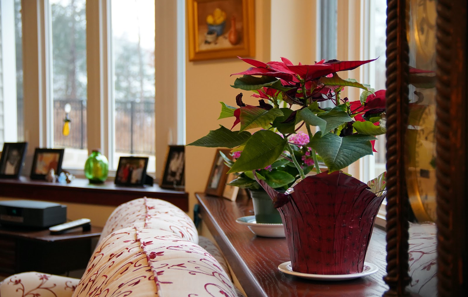 The Roses at Guilford House