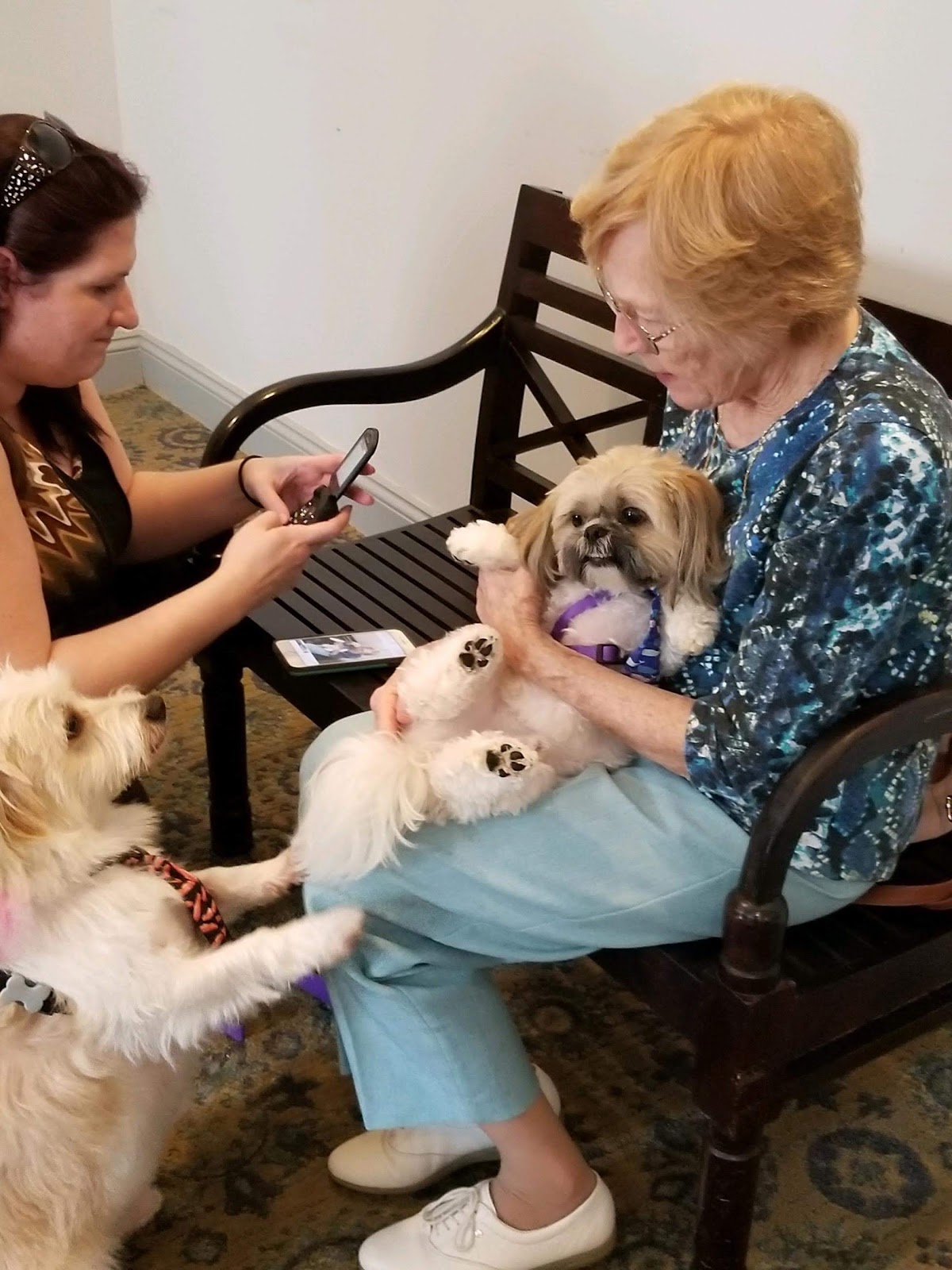Daybreak Village Assisted Living