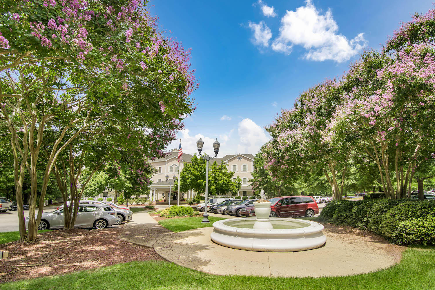 HeartFields at Cary