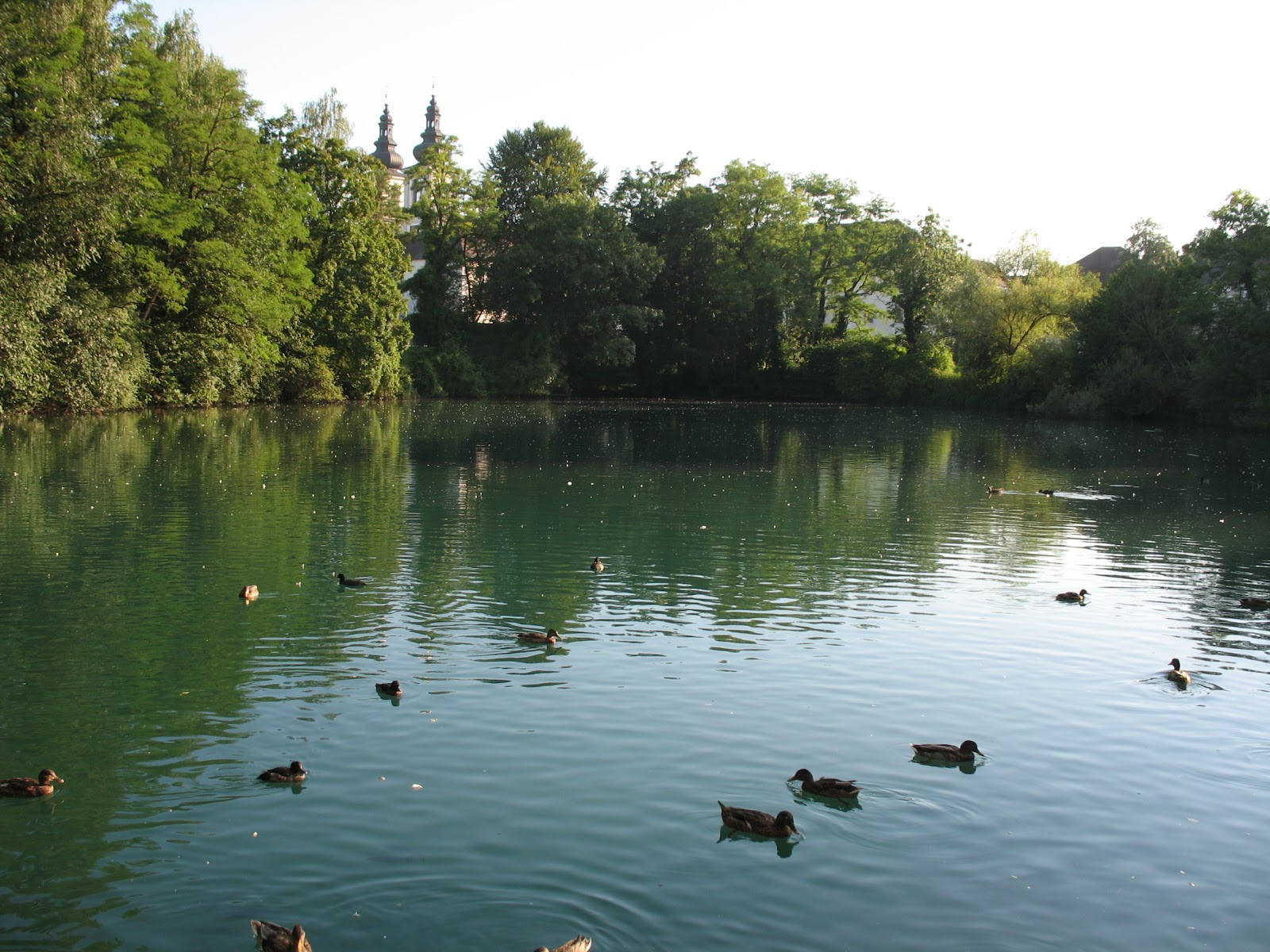 Fischkalter Stift Kremsmünster