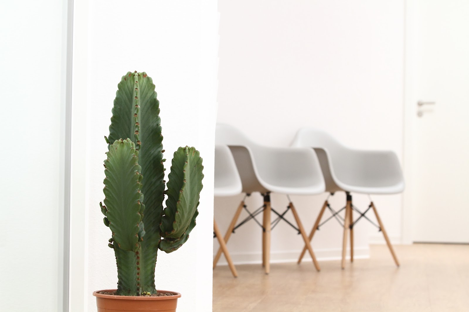 KORPEO Ehringshausen - Physiotherapie | Training