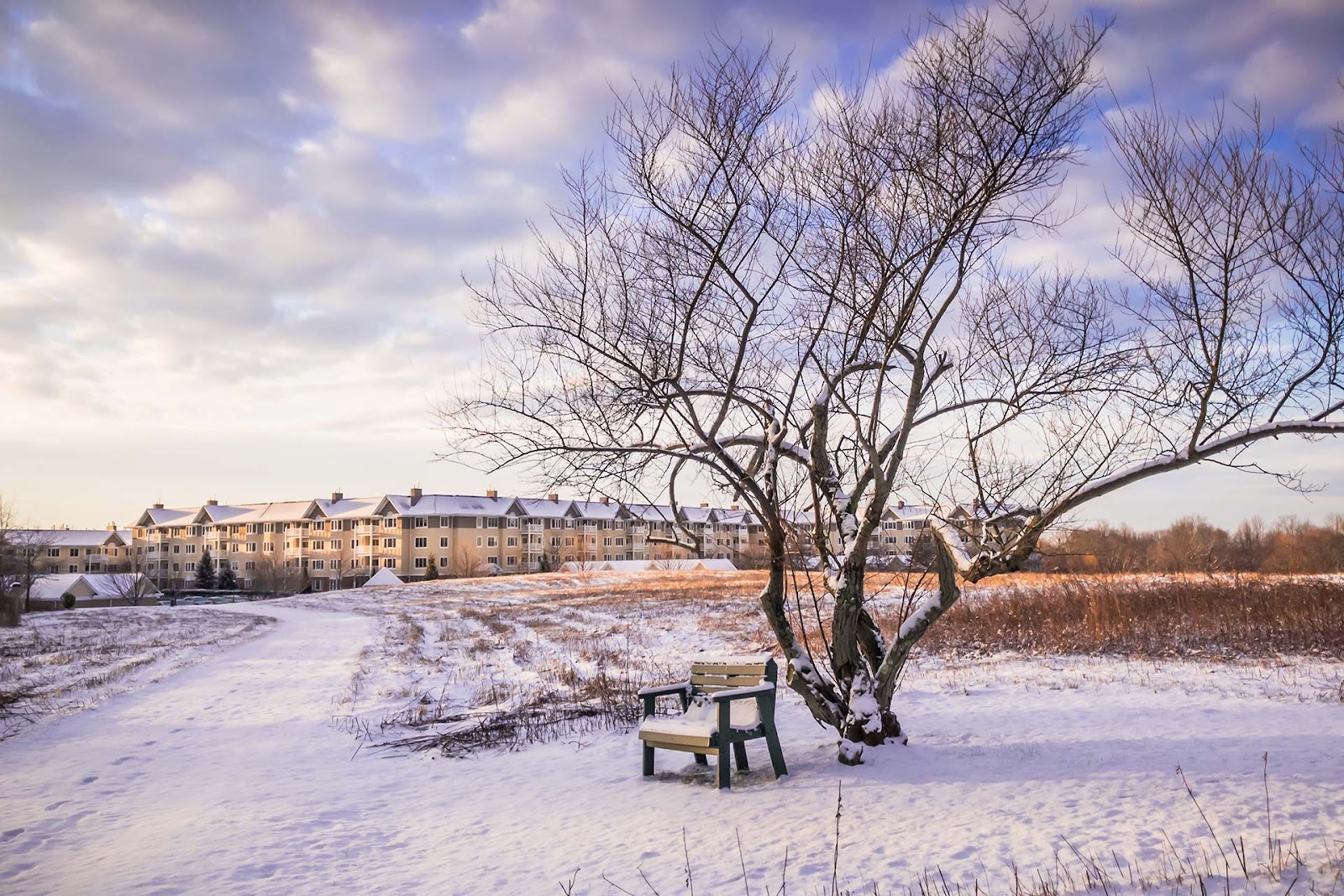 Meadow Ridge