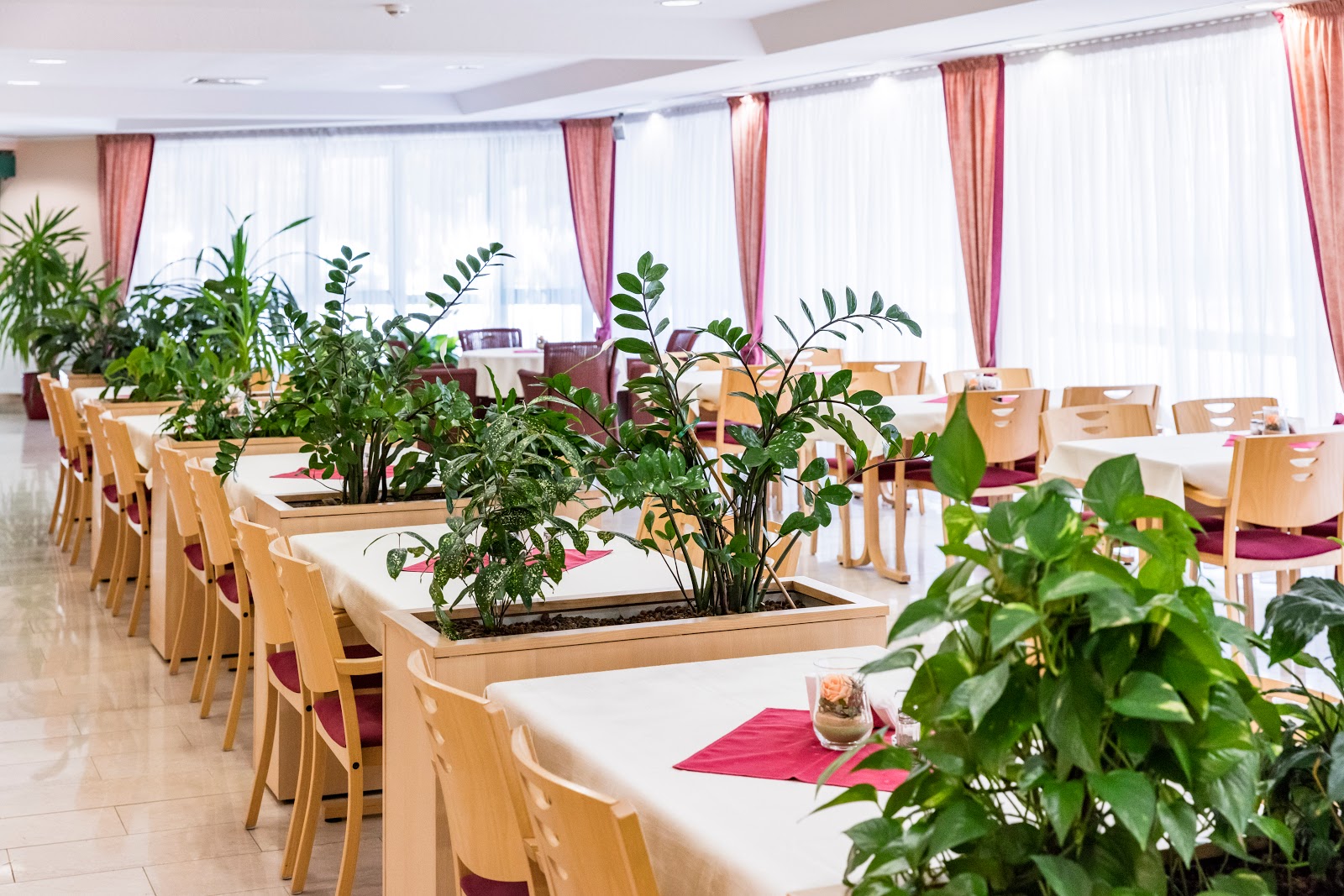 AlexA Seniorenresidenz Pirna