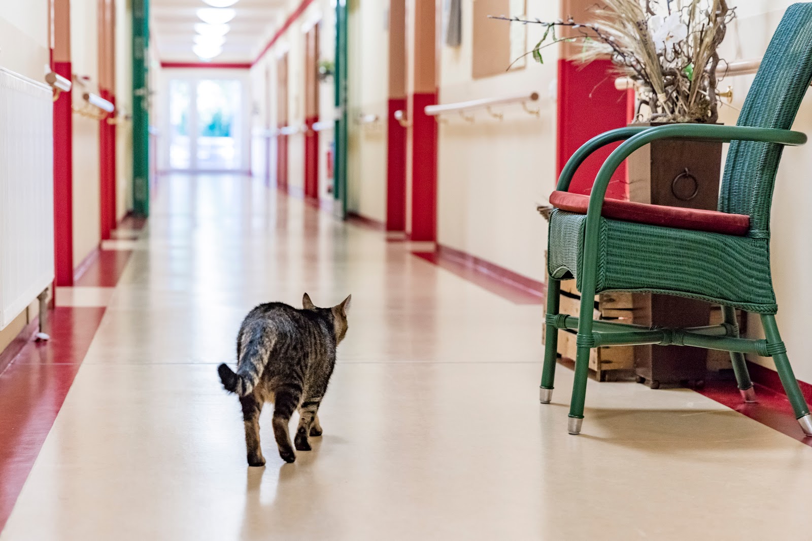 AlexA Seniorenresidenz Pirna