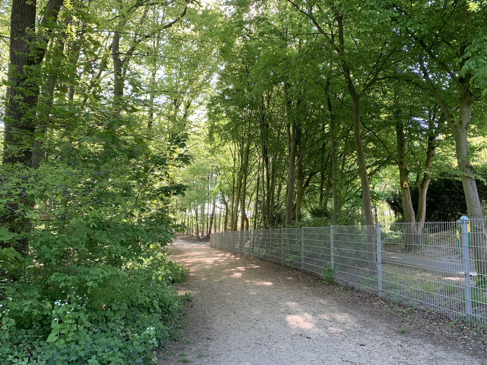 Haus am Buchenhain gemeinnützige GmbH