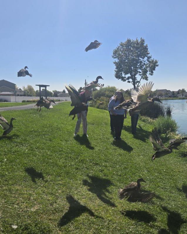 Country Pines Retirement Community