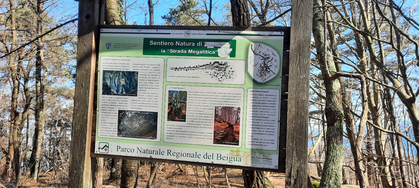 Sereni Orizzonti