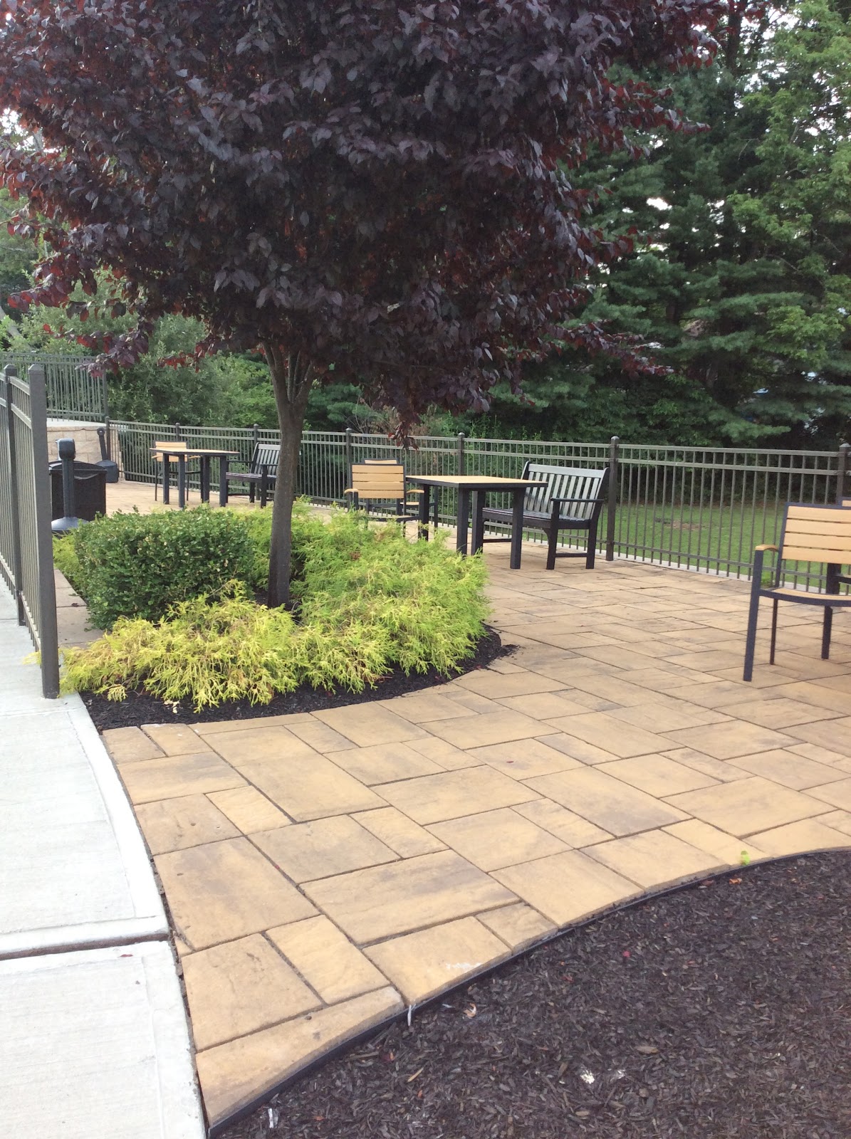 Pine Valley Center-Rehabilitation & Nursing / The Pavilion at Pine Valley Assisted Living