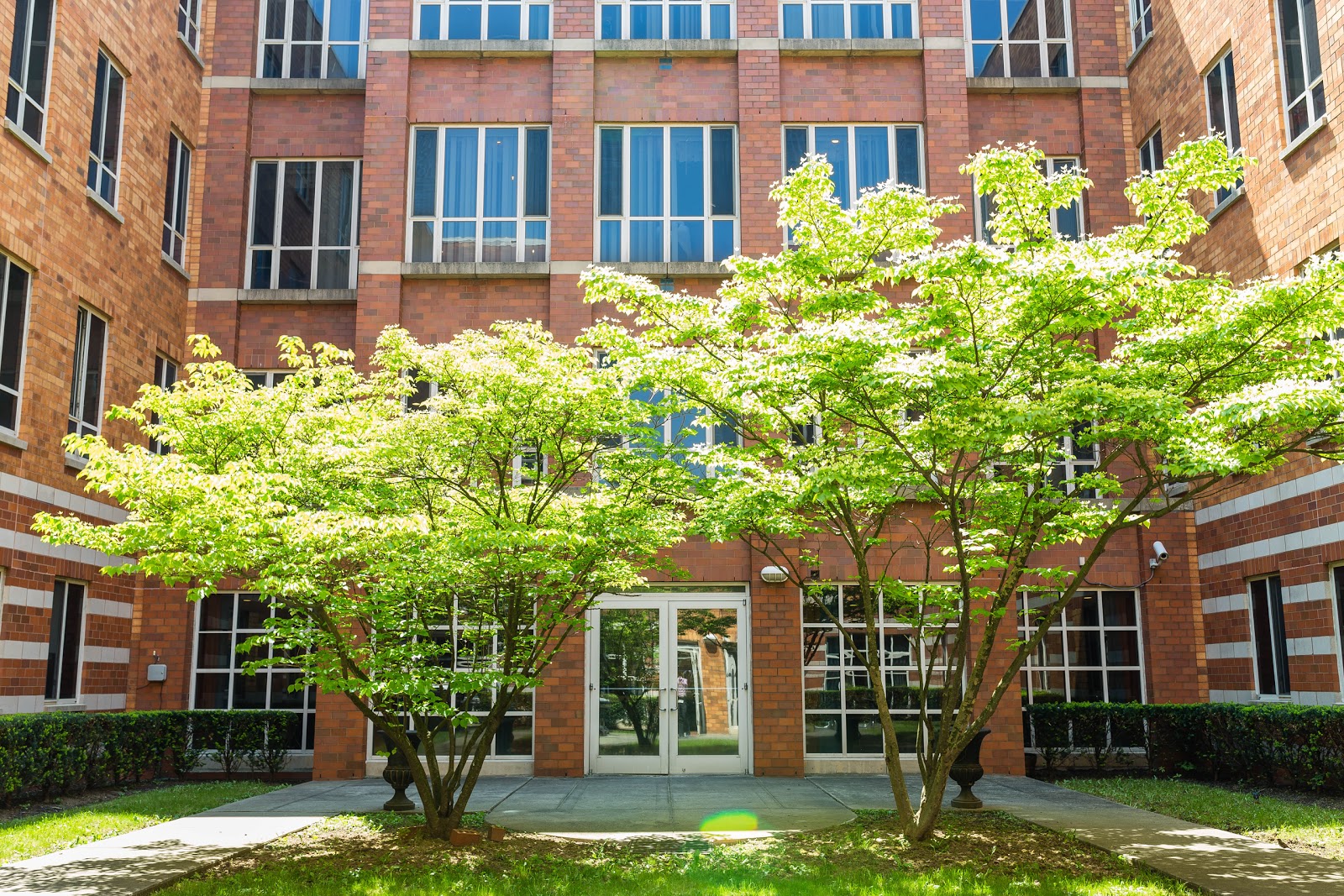 Linden Center for Nursing and Rehabilitation