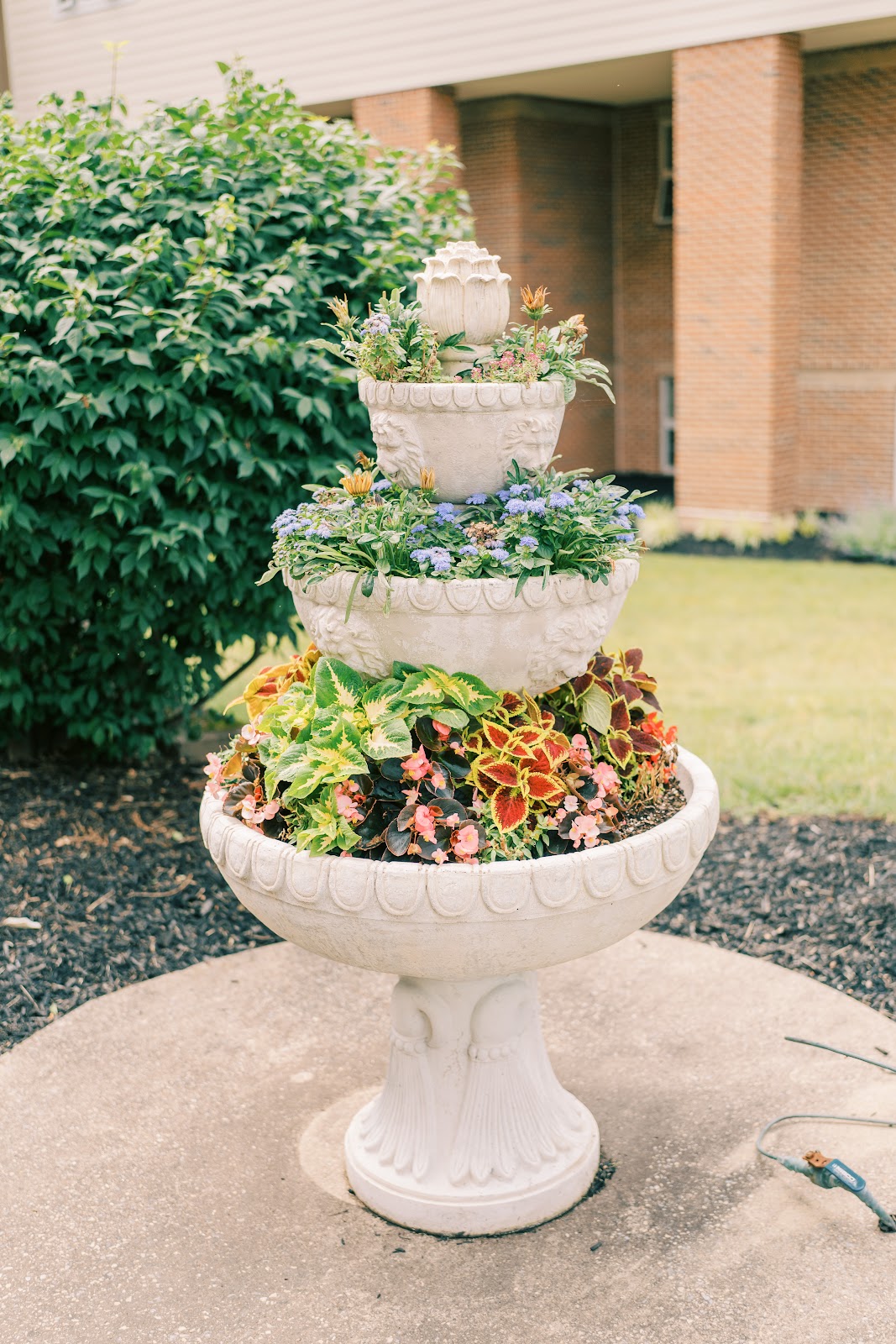 Elm Terrace Gardens