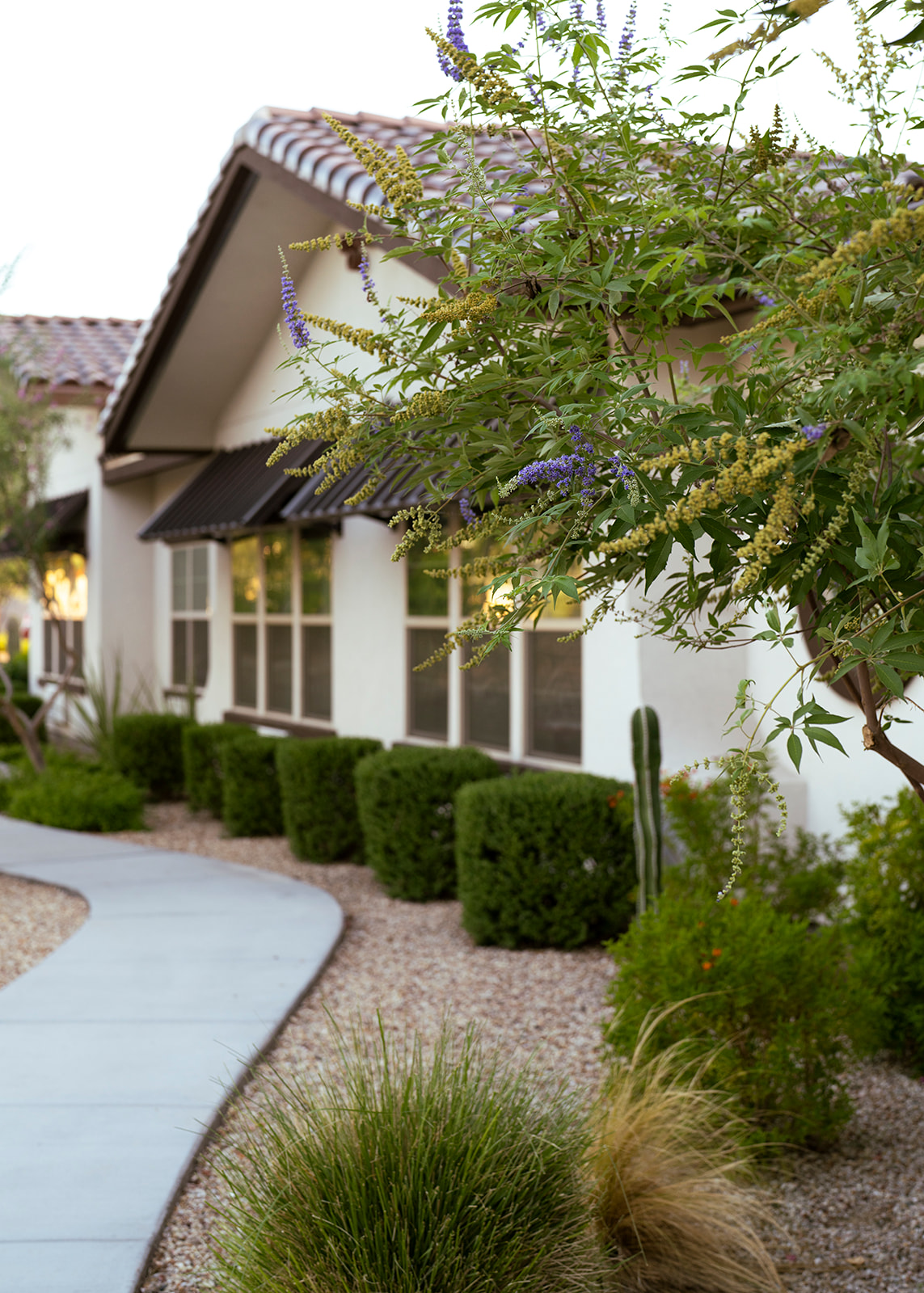 Shadow Mountain Memory Care