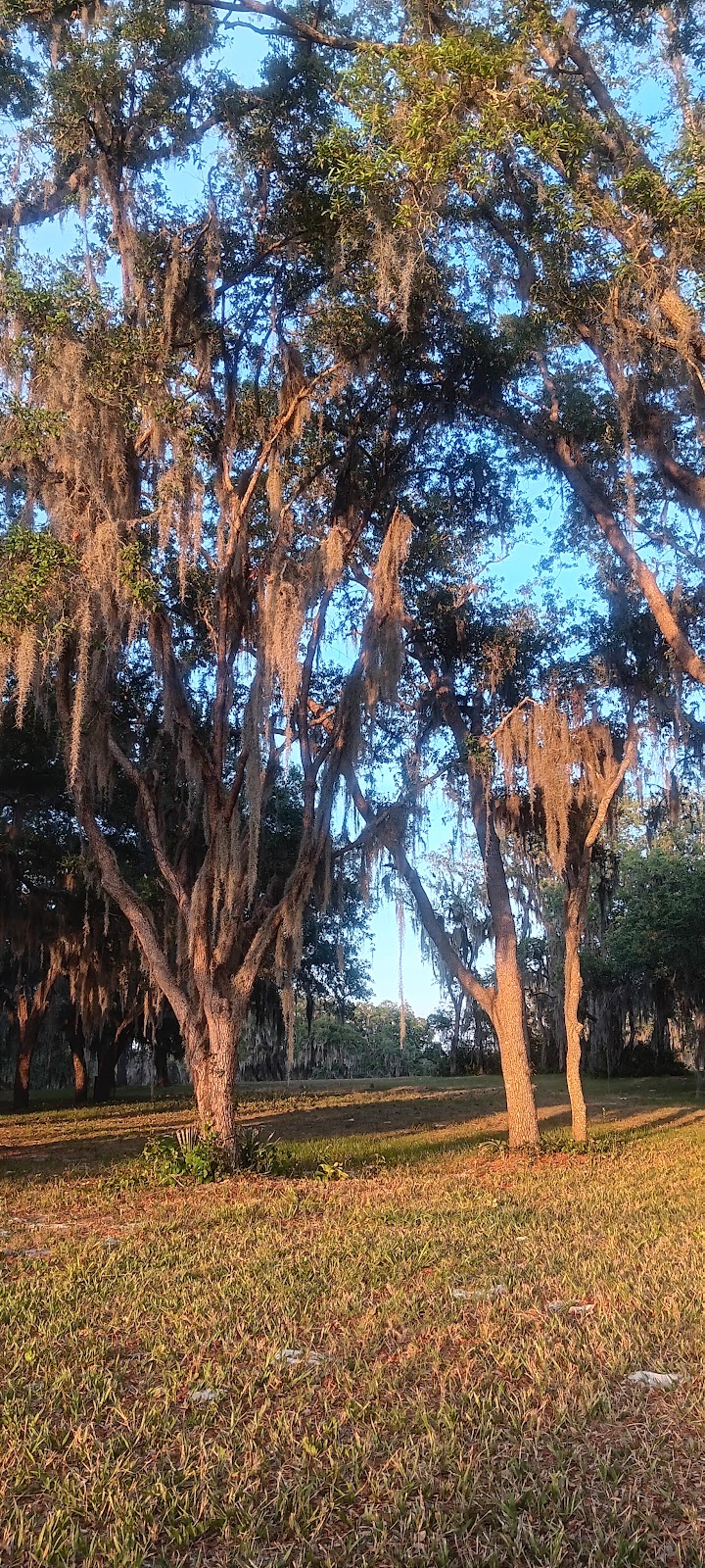 Maranatha Village