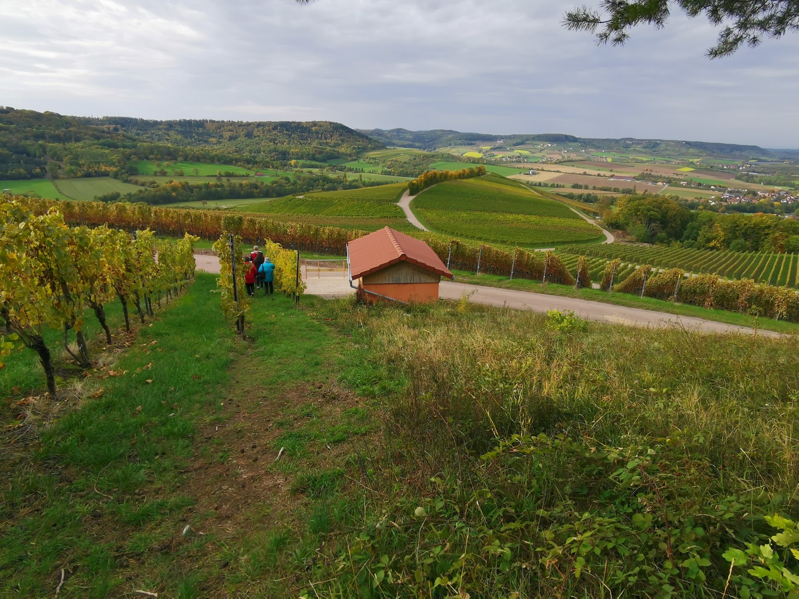 Waldkindergarten Eulennest