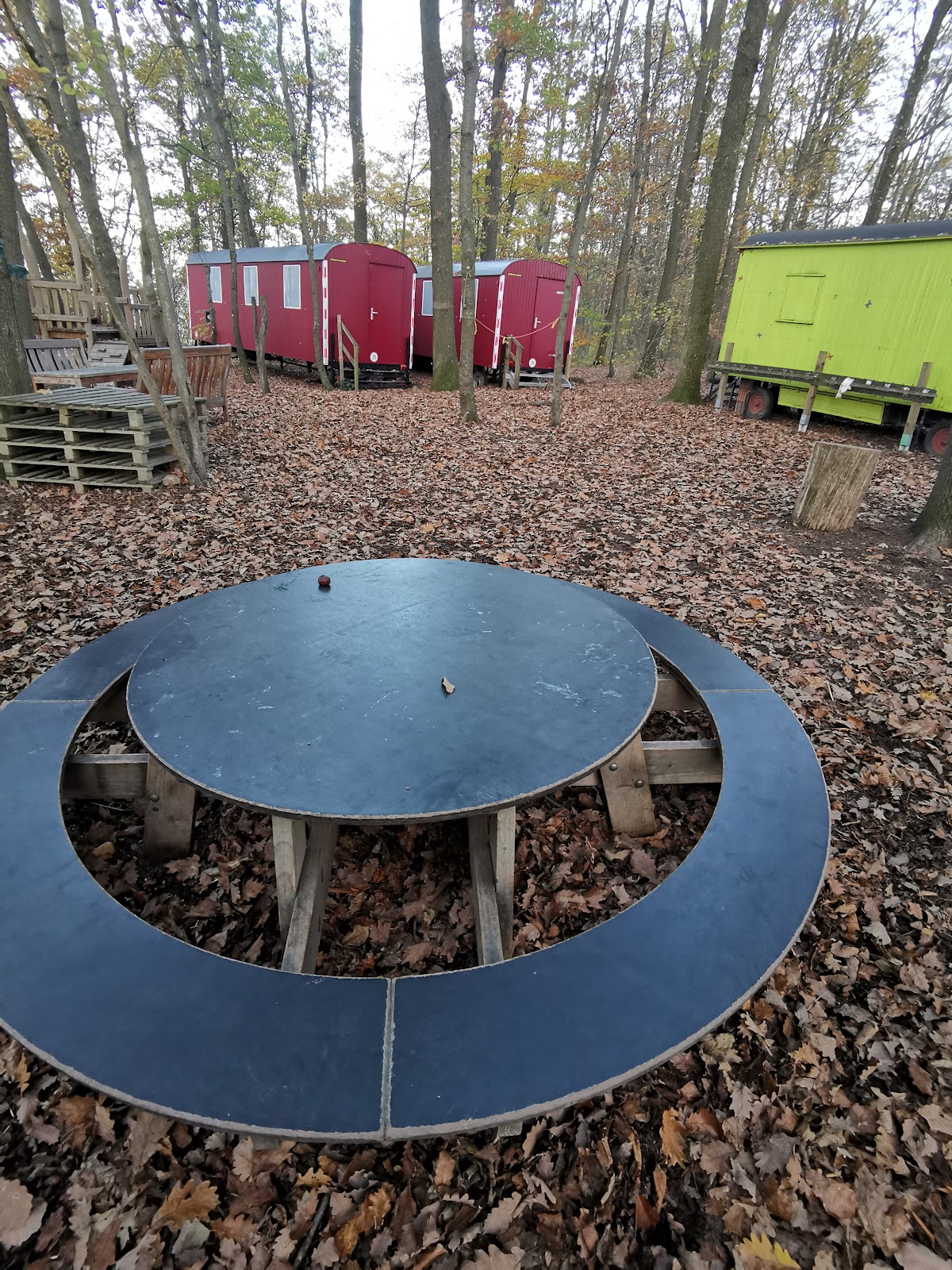 Waldkindergarten Eulennest