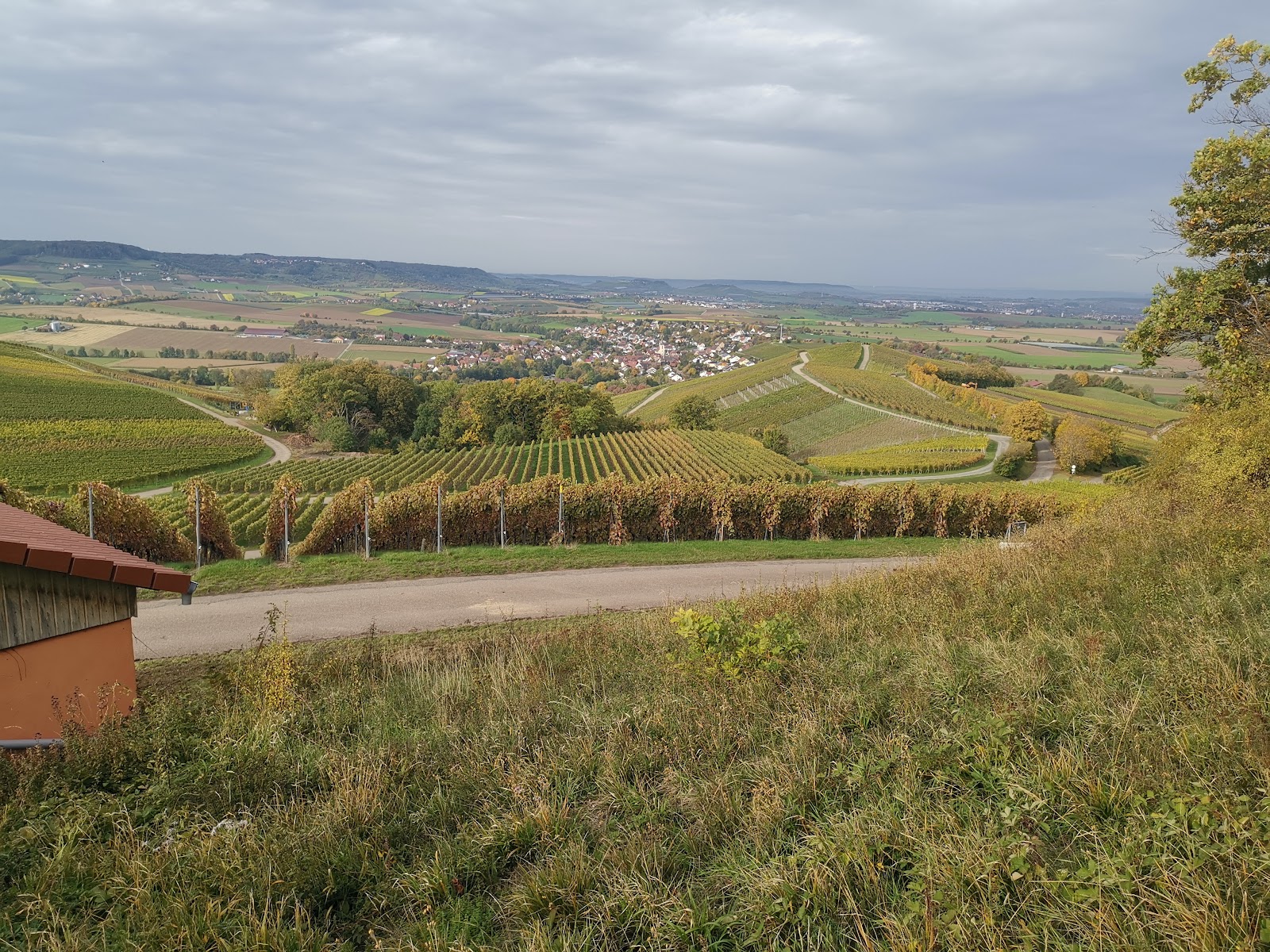 Waldkindergarten Eulennest