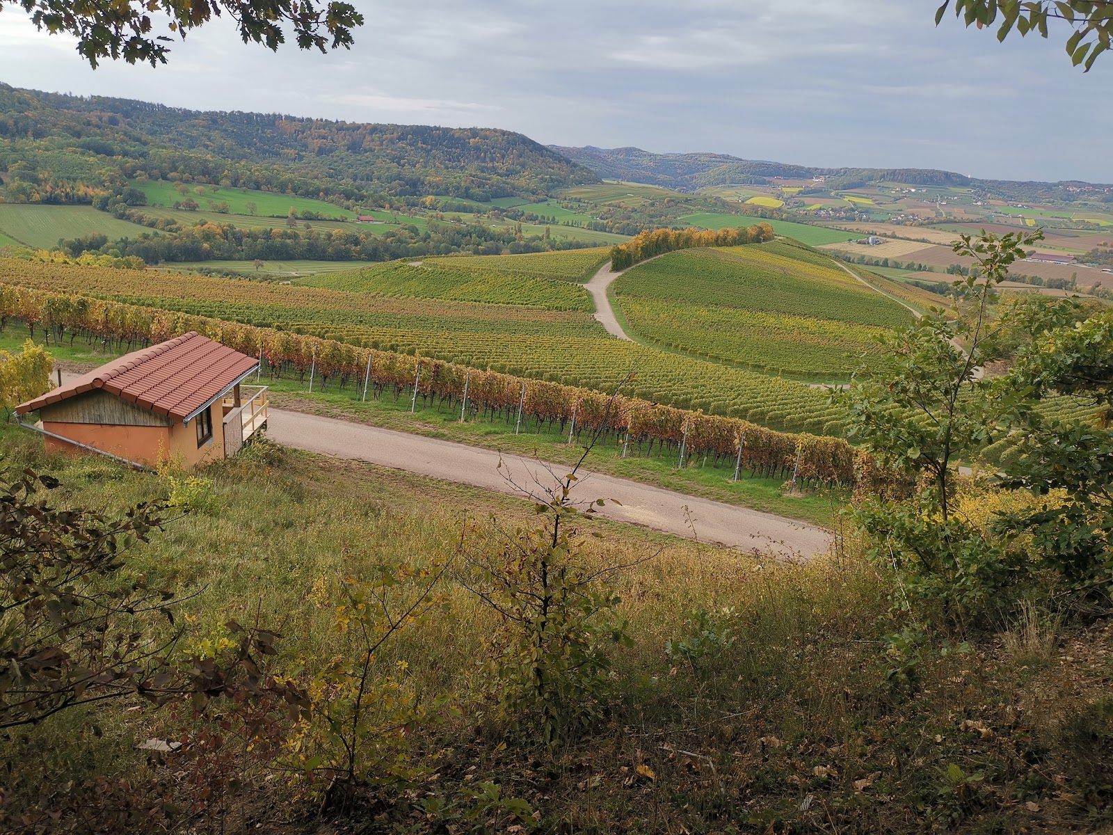 Waldkindergarten Eulennest