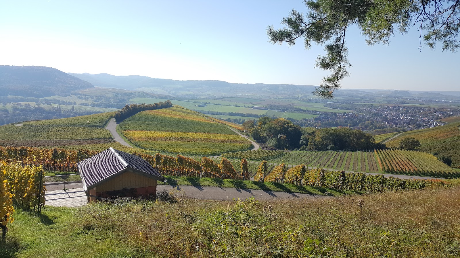 Waldkindergarten Eulennest
