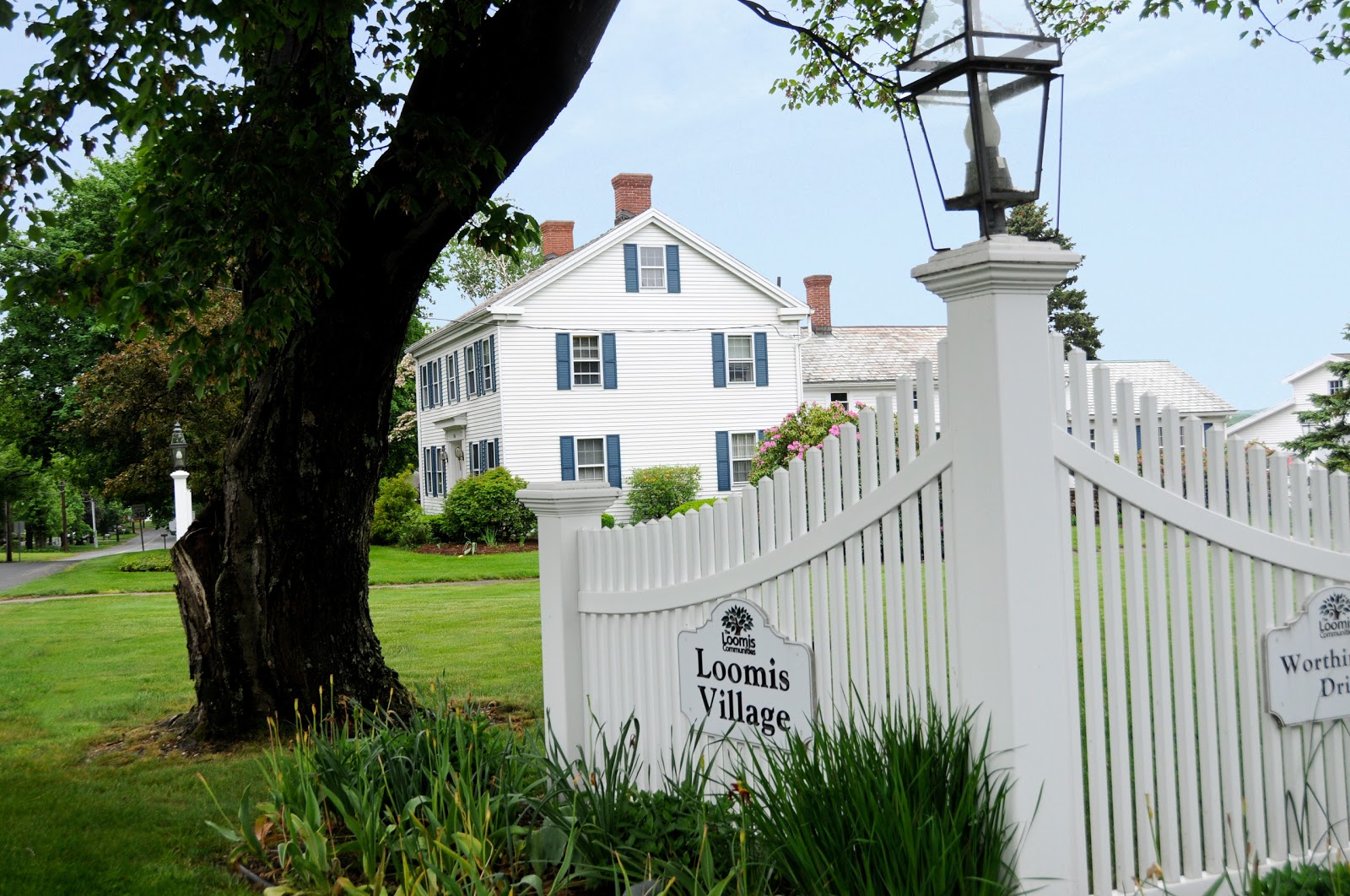 Loomis Village