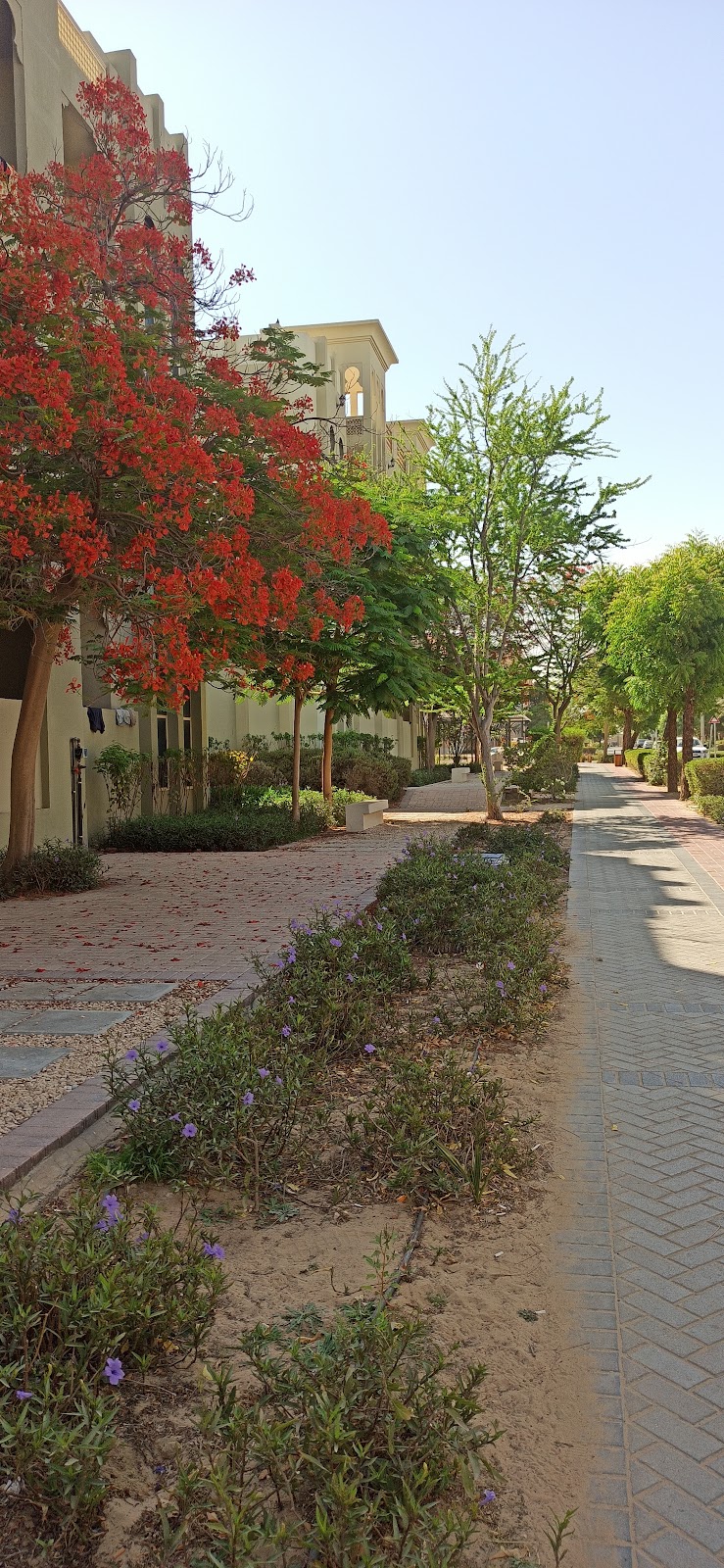 Ewans residence building 60