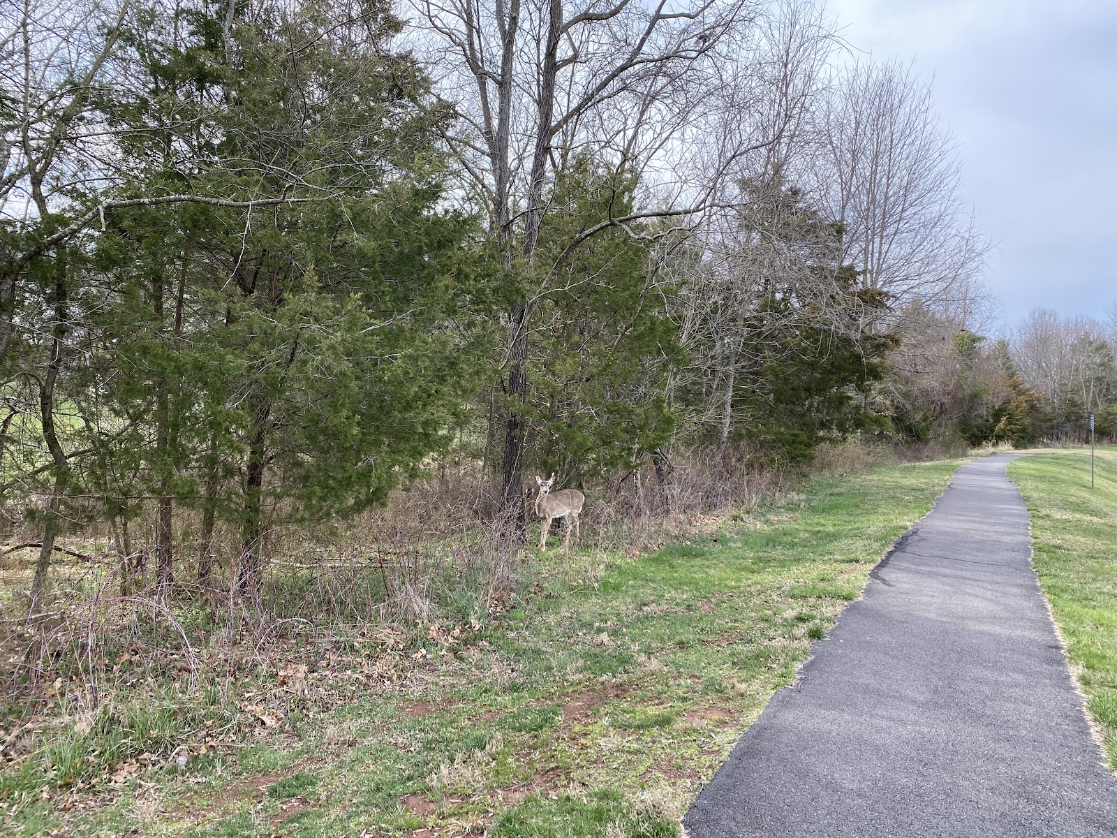 Potomac Green Community Association