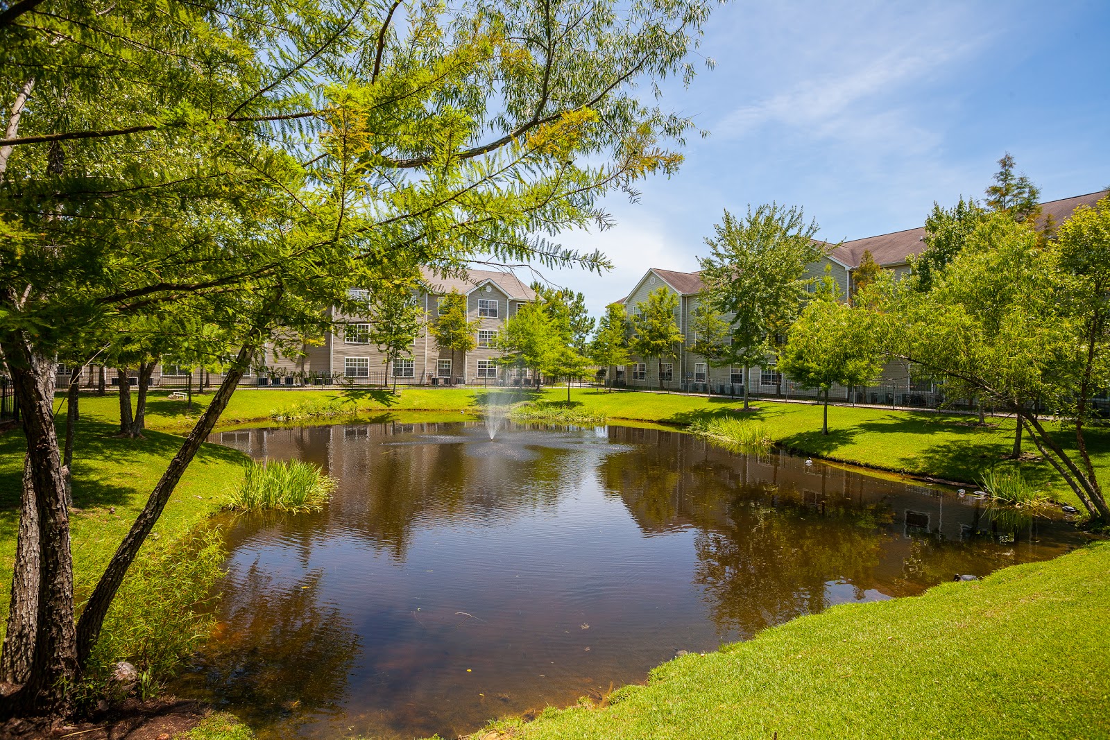 The Windsor Senior Living Community